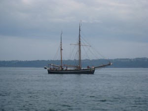 Arrivée des vieux gréements dans la rade de Paimpol