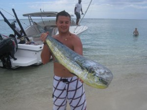 Dorade coryphène - Pêche au gros à l'île Maurice