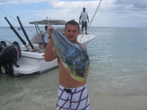 Dorade coryphène - Pêche au gros à l'île Maurice