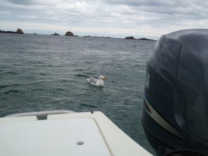 Temps gris en mer bretonne