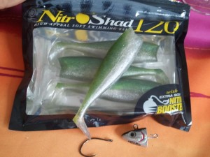 Illex - Nitro shad 120mm vert pailleté