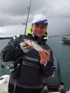 Pêche d'un petit bar non maillé au x-layer Ayu en bretagne