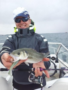 Pêche au bar au leurre souple en bretagne