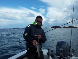 Pêche de bar au leurre souple en bretagne