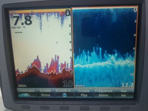 Fond de sargasses sur Lowrance HDS 10 Gen1