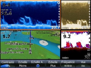 Fond de sargasses sur Lowrance HDS 10 Gen1