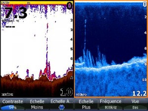 Perche de parc à huitres et sargasses sur Lowrance HDS 10 Gen1