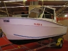 Stern Fish 595