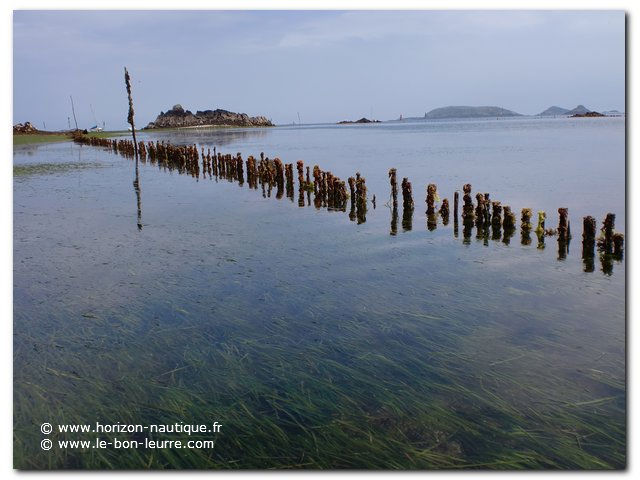 bretagne-st-riom-corbeau-fillettes