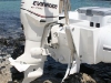 sealegs-amphibie-rib-5-05m_plaisance_evinrude-e-tec-q